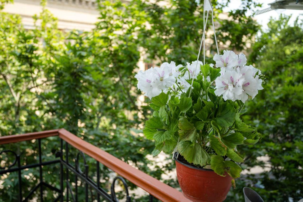 Boutique Hotel Avenue Baku Exterior foto